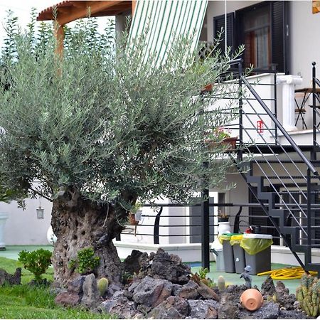 Pompei Gryllus Bed & Breakfast Екстериор снимка