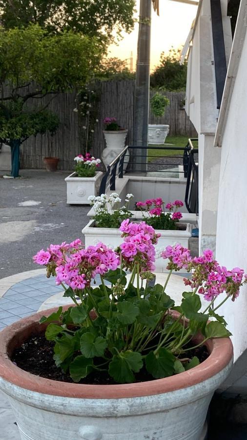 Pompei Gryllus Bed & Breakfast Екстериор снимка